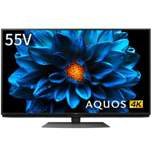 シャープ SHARP 55V型 液晶テレビ 4T-C55DN1 (宅配サイズ商品 / 設置・リサイクル希望の場合は別途料金および配達日・時間指定不可) 〈4TC55DN1〉