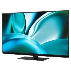SHARP シャープ 4Kチューナー内蔵 有機ELテレビ 55V型 4T-C55EQ1 SHARP シャープ 4Kチューナー内蔵 有機ELテレビ 55V型 4T-C55EQ1