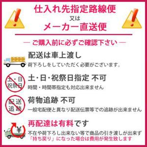 ダイキン 業務用 冷凍ストッカー LBFG4A...の詳細画像1