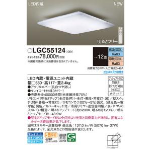 Panasonic（パナソニック） メーカー/生産待ち30日以上/【関東限定販売
