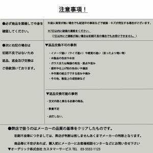 【関東限定販売】オーデリック「OG041643...の詳細画像3