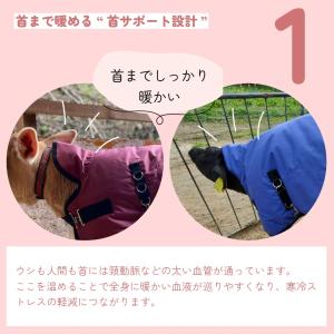 カーフジャケット 子牛 防寒 【サーモー(Mサ...の詳細画像2