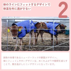 カーフジャケット 子牛 防寒 【サーモー(Mサ...の詳細画像3