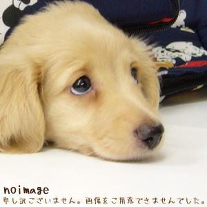 0030213427A アクア 洗濯機 用の 柔軟剤 キャップ ★ AQUA