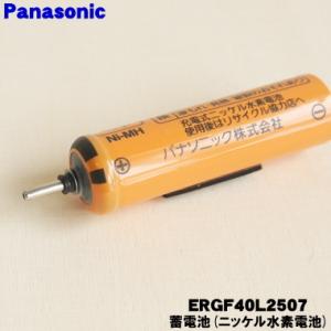 【在庫あり!】 ERGF40L2507 パナソ...の詳細画像2