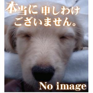 RAS-SC40C2002 日立 エアコン 用の 上下風向ルーバーの下はね ★ HITACHI ※ベ...
