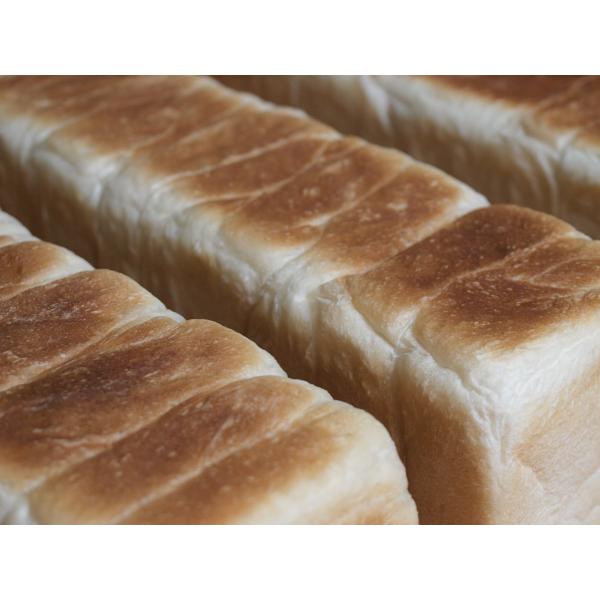 超熟成100時間　６枚切　８斤セット