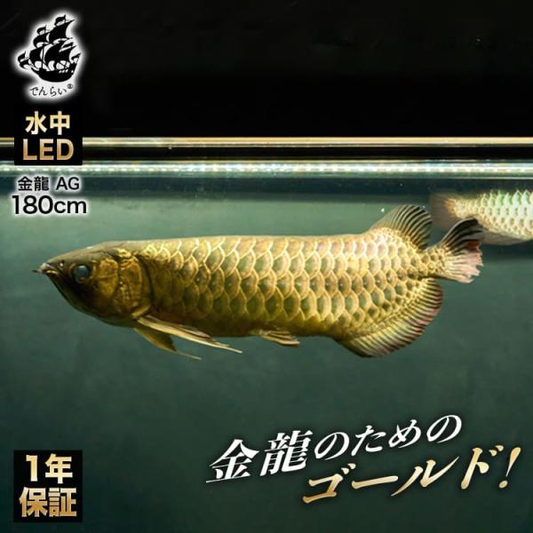 アロワナライト 過背金龍 藍底金龍 水槽ライト 熱帯魚ライト テンニングライト LED 水中照明 長...