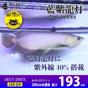 アロワナ ライト 金龍 過背金 200cm水槽用 藍紫龍灯 ワイルドブルー UV 40% EX LED 2列 水中 照明 水中蛍光灯 AK-200UV-EX AK-UV-EX でんらい｜denraiasia