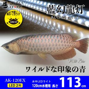 アロワナ ライト 金龍 過背金 120cm水槽用 藍幻龍灯 ワイルドブルー EX LED 2列 水中 照明 水中蛍光灯 AK120-EX AK-EX 送料無料 でんらい｜denraiasia