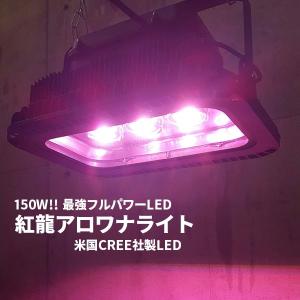 マインライト　1500用2700k アロワナライト　テンニングライト マインライト アロワナライト アジアアロワナ アロワナ | アロワナ