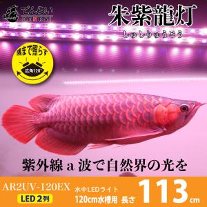 リバイブソード EX  アジアアロワナ 照明 LED 水中 アロワナライト 水中蛍光灯 アクアリウム 熱帯魚 紅龍 120cm AR2-120UV-EX 送料無料 でんらい｜denraiasia