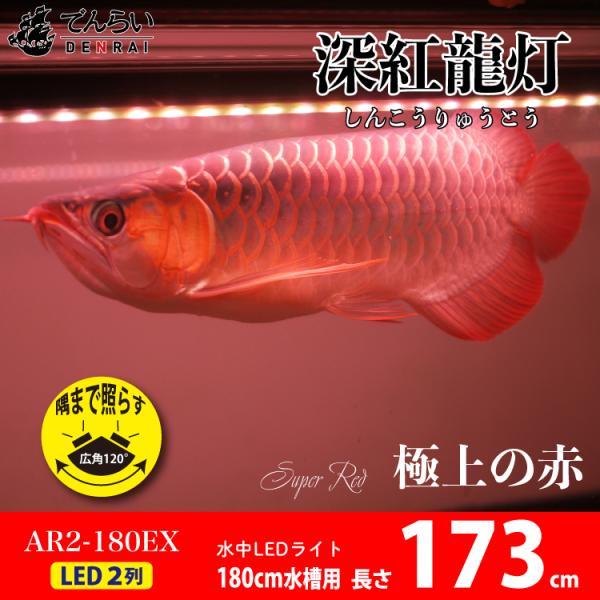 アロワナ ライト 紅龍 180cm水槽用 深紅龍灯 スーパーレッド レベル2 EX LED 2列 水...