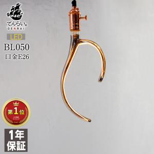 Planet of Life プラネット オブ ライフ 地球儀 ペンダントライト