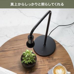 植物育成ライト スタンド 植物ライト 明るい ...の詳細画像5