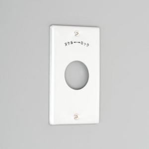 アメリカン電機 1141A コンセント用プレート 新金属製【ゆうパケット可能】｜densetsu-n-net