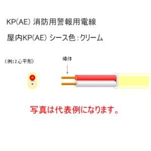 富士電線 警報用ケーブル【屋内用】AE0.9✖️3c 200m（2個セット