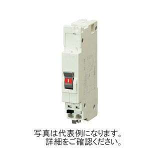 テンパール パールテクト 分岐用ブレーカ 2P2E 20A BC2NA20 : エヌデン