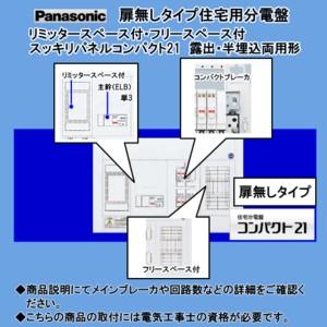Panasonic（パナソニック） パナ 住宅用分電盤 BQWF3462 : 電せつN