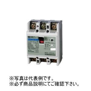 河村電器 ZCS2P2E20-30F 漏電ブレーカ（スマートサイズ/ホーム分電盤