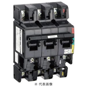 日東工業 在庫有り DS63 3P 60A 切替開閉器 手動 : 電材ONLINE 日東工業 在庫有り DS63 3P 60A 切替開閉器 手動 : 電材ONLINE