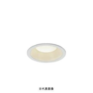 IRIS OHYAMA（アイリスオーヤマ） LSB100-0627NCAW-V3 断熱施工対応 高