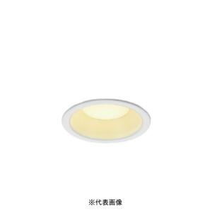 TOSHIBA（東芝） LEKD153023N-LS9 ベースダウンライト 1500