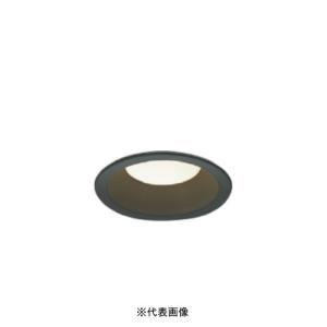 大光電機 【即納・在庫品】DDL-5102AW LEDダウンライト 防雨型 軒下