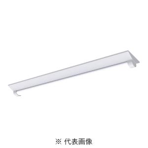 Panasonic（パナソニック） iDシリーズ 防湿防雨型ベースライト本体 40