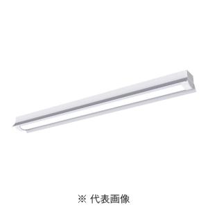 Panasonic（パナソニック） XDL201AGNLE9 非常用照明器具 20形 一体型