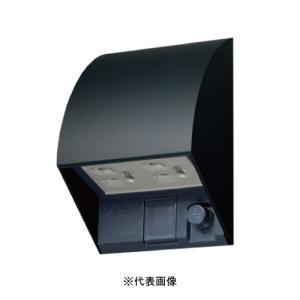 Panasonic（パナソニック） WK4604S スマート接地防水コンセント 入線
