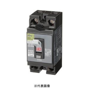 日東工業 漏電ブレーカー GP32CX 2P 20A F15（GP32CX2P20AF15）代引