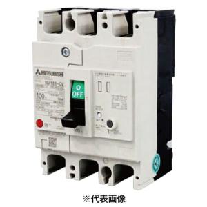 Panasonic（パナソニック） BJW31009K 漏電ブレーカBJW-125型 3P3E OC