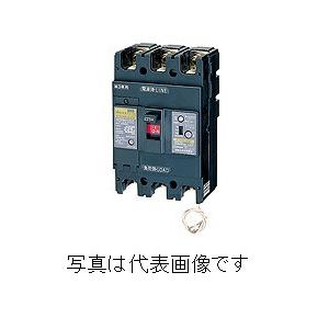 日東工業　漏電ブレーカ　GE103NA 3P 60A F100 日東工業 GE103NA 3P 60A F100 分散型電源システム用 単3中性線欠相