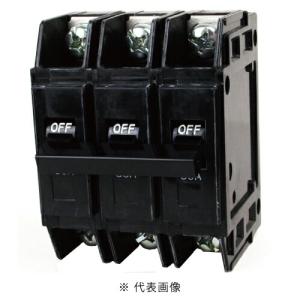 日東工業 NE103A 3P 100A サーキットブレーカ 経済形 表面形 : 電材