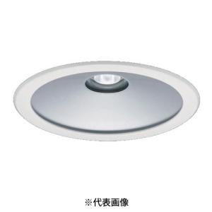 Panasonic（パナソニック） NYM20200LR9 LED高天井用照明器具 天井直付