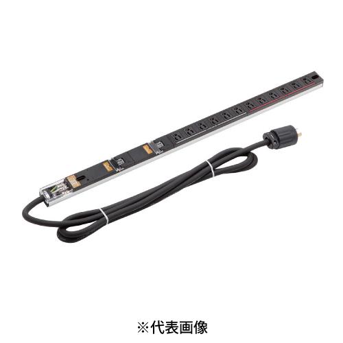 日東工業 RD81-3018P コンセントバー100V30Aフラットタイプ 口数18