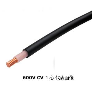 CVTケーブル 38SQ フジクラ 電線 cvt 38sq 3c 3芯 1m〜切断
