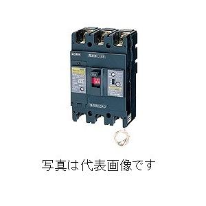 日東工業 GP31CX 2P 20A F15 分岐用漏電ブレーカ 定格電流20A 感度電流