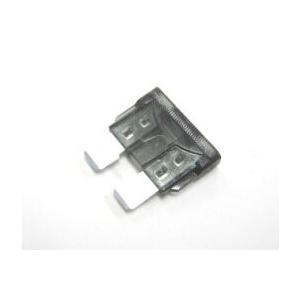 【お試し版・送料無料】1A 自動車用ヒューズ2個