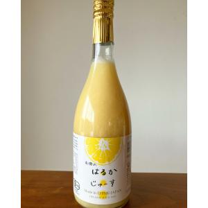 愛媛県産 みかんジュース はるか 希少柑橘 720ml×1 果汁100