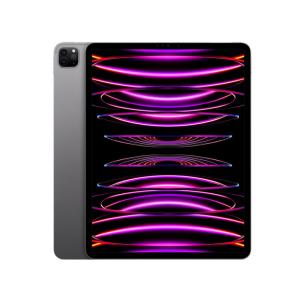 【ラッピング可】iPad Pro 12.9インチ 第6世代 Wi-Fi 256GB スペースグレイ ...