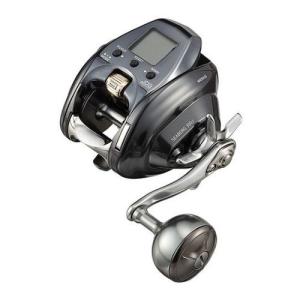 DAIWA（ダイワ） 25 ソルティガ 35 右ハンドル (2025年モデル