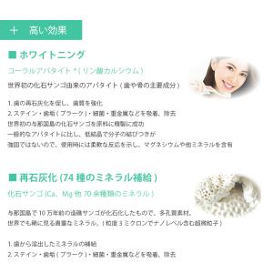 歯磨き B+ 100g(ビープラス) 1本 ホ...の詳細画像3