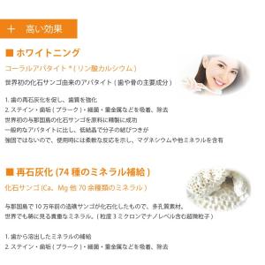 歯磨き B+Orange 40g(旧 B +k...の詳細画像4