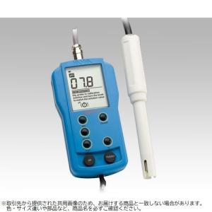 1-3538-21 青 HI9811-5N ハンナ pH計