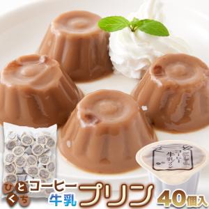 天然生活 SM00011016 まろやかな甘さと風味豊かなコーヒーの香りがたまらない ひとくちコーヒー牛乳プリン40個