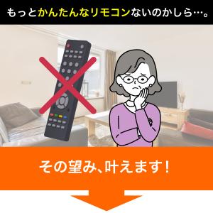 エルパ かんたん テレビ リモコン 極 IRC...の詳細画像3