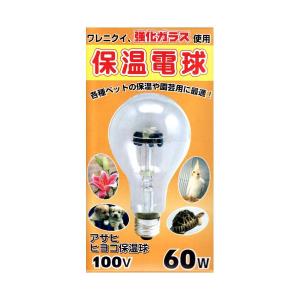 旭光 ヒヨコ保温電球 60W 100V60WPS80E26