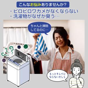 ニイタカ 洗濯槽カビクリーナー 縦型洗濯機用 ...の詳細画像2
